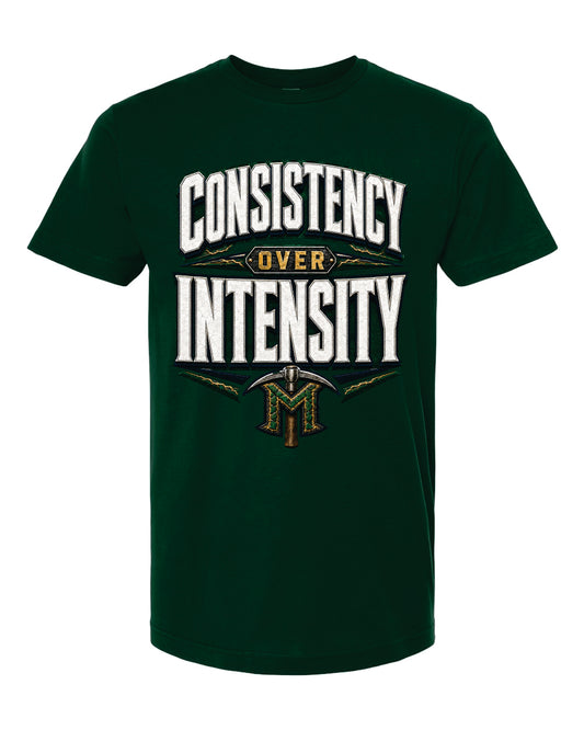 CONSISTENCY - Sua Sponte Design